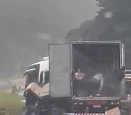 Motorista leva pedrada ao tentar evitar saque de caminhão da Havan no Paraná