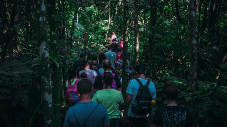 Semana do Desenvolvimento Sustentável de Timbó promove atividades para todas as idades