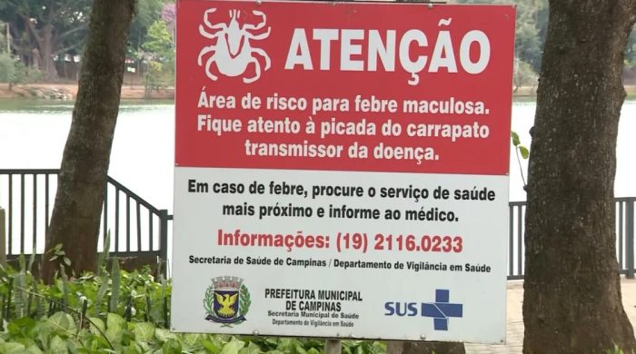 Febre maculosa: casos graves em São Paulo e no Ceará geram preocupação