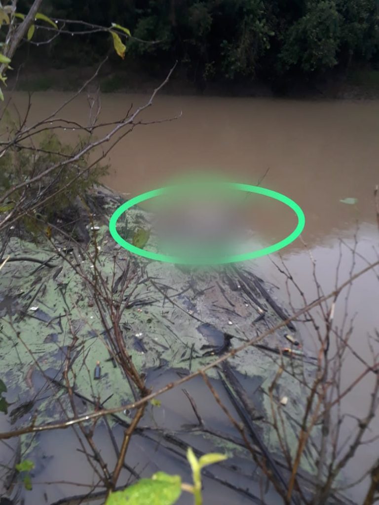 Cadáver é retirado de rio por bombeiros em Rio do Sul