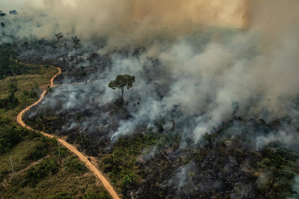 Queimadas na Amazônia e Cerrado atingem o maior número desde 2007