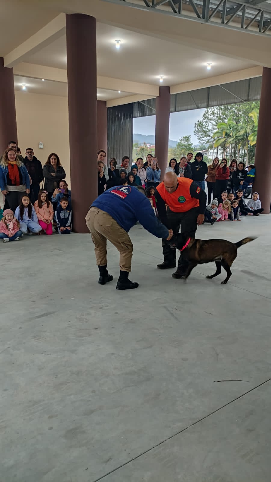 Crianças se encantam com cães adestrados da PM