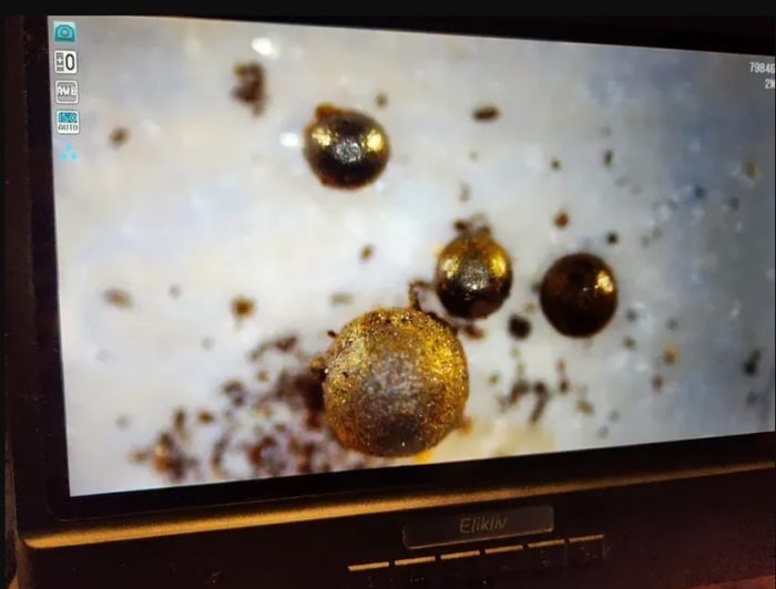 Astrofísico de Harvard acredita ter encontrado "esferas alienígenas" em meteorito caído