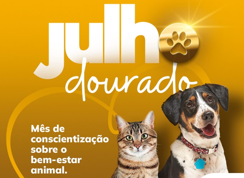 Julho Dourado: Prefeitura de Timbó promove Campanha especial