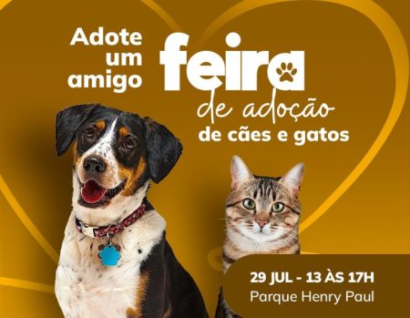 Feira de adoção de cães e gatos fecha o Julho Dourado em Timbó