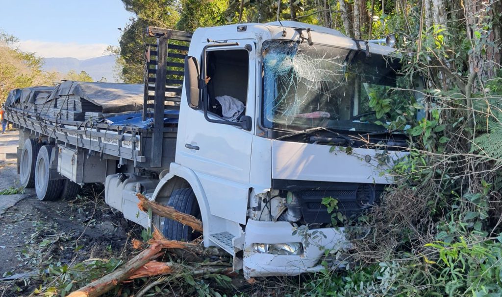 Árvore atinge caminhão na BR-470 e condutor sai ileso em Rodeio