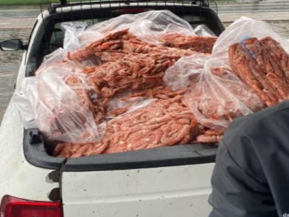 Carregamento com mais de 40 caixas de camarão contrabandeado são apreendidos em Pomerode