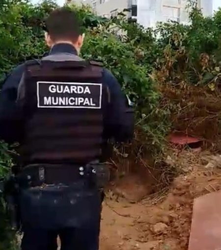 GAMF descobre “abrigo subterrâneo” na restinga da Praia Brava após denúncia