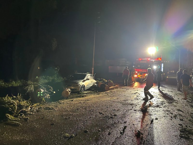 Veículo fica destruído após árvore de 25 metros cair em Campos Novos