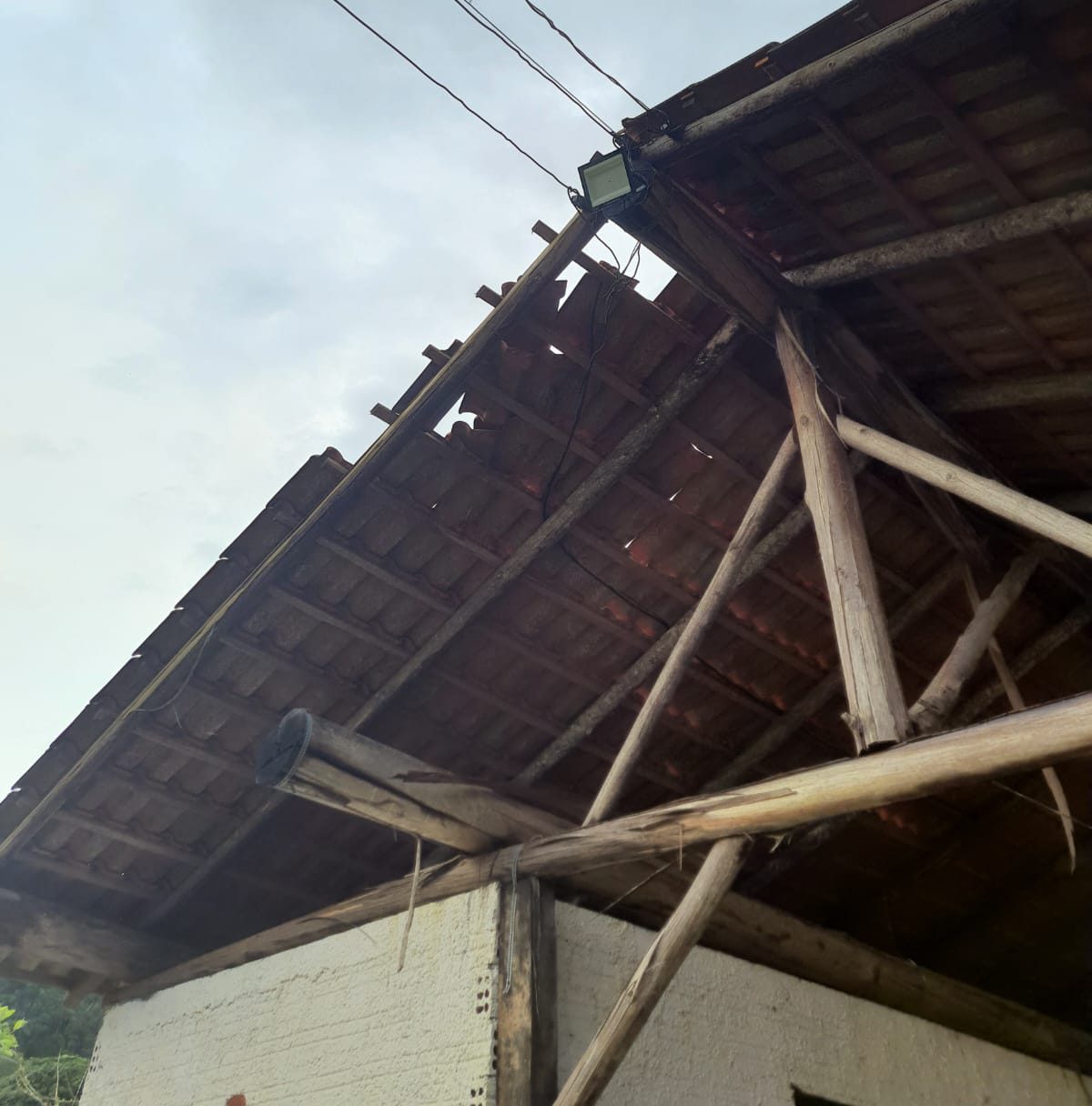 Ventania destrói telhados e 1 estufa de morango em Timbó