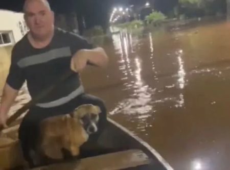 Pai e filha resgatam cachorro em meio às inundações no RS e vídeo viraliza