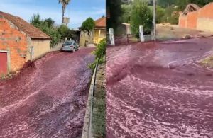 VÍDEO: ‘Rio de vinho’ surpreende moradores cidade de Portugal