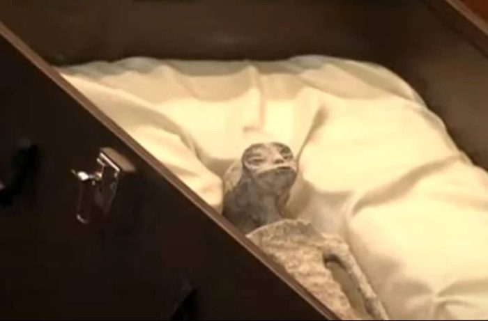 Ufólogo mexicano apresenta corpos de supostos alienígenas encontrados em 2015