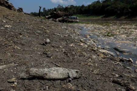 Seca histórica deixa 55 municípios do Amazonas em estado de emergência