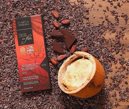 Chocolate de Pomerode fica entre os melhores do mundo após conquistar medalha prata em prestigiado concurso mundial