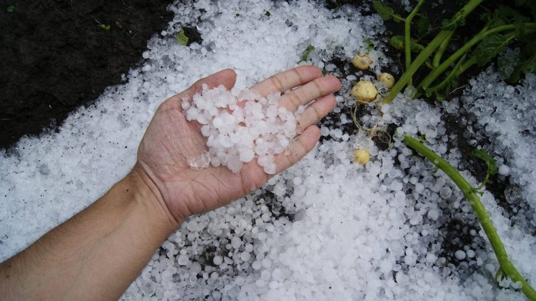 Defesa Civil alerta para risco de temporais com granizo em SC