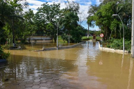 Chuvas causam obstruções em vias e alerta na Defesa Civil de Ascurra