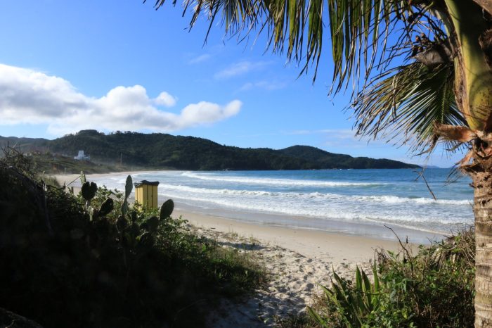 Santa Catarina tem 15 praias com selo Bandeira Azul e lidera o ranking nacional 