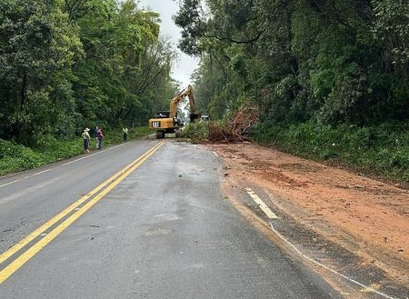 Alerta DNIT: Fortes chuvas causam quedas de barreiras e árvores em rodovias catarinenses