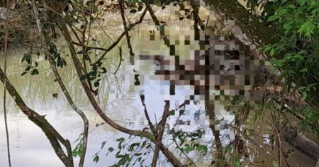 Bombeiros encontram corpo preso entre galhos nas margens de um rio em Lontras