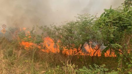 Amazonas tem mais de 1600 focos de incêndio em sua pior temporada de queimadas em duas décadas