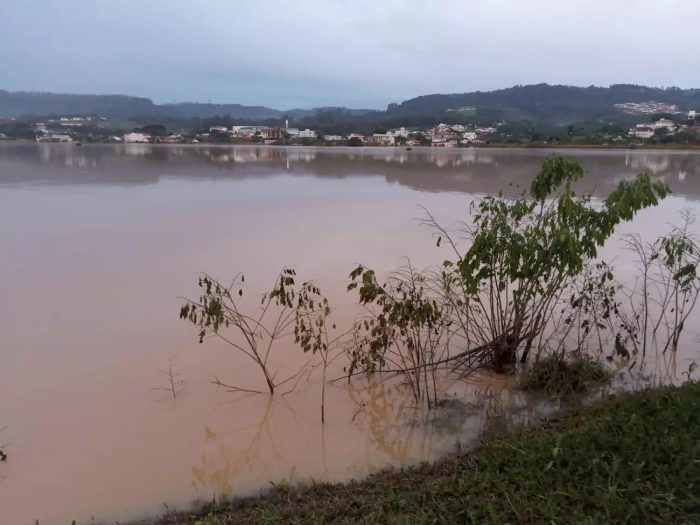 Agronegócio no Alto Vale do Itajaí enfrenta perdas de cerca de R$ 450 milhões após as enchentes