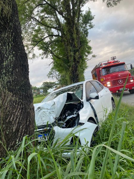 Condutor sofre ferimentos após colidir contra árvore em Ilhota