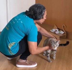 Mãe viraliza após ser gravada pela filha fazendo oração em um gato doente