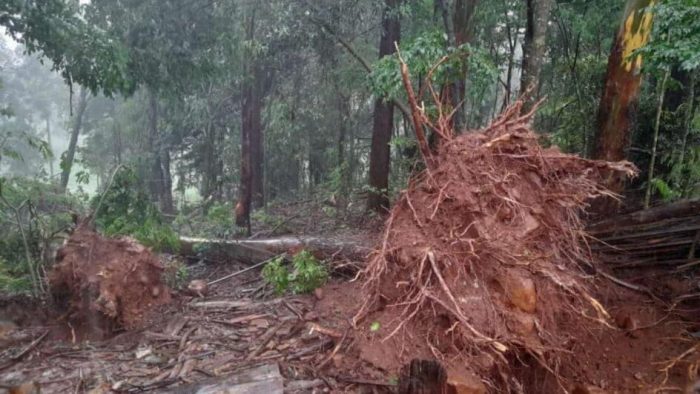 Tornado atinge município catarinense e causa estragos; veja imagens