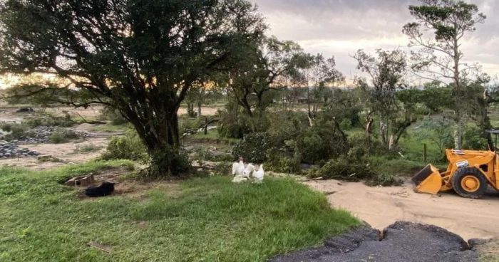SC registra 5 tornados em novembro, confirma a Defesa Civil