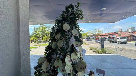 Árvore dos Sonhos de Natal conecta comunidade timboense em gestos de solidariedade