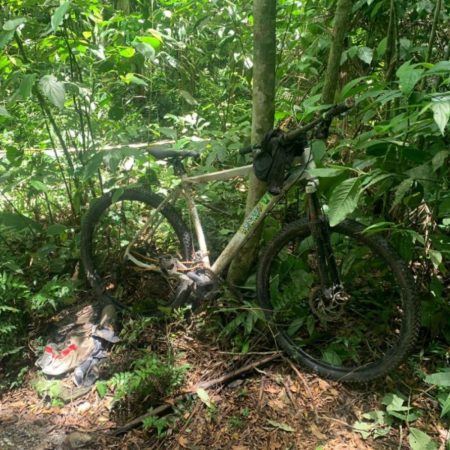Ossada humana e bicicleta são encontradas por geóloga em mata de Itapema