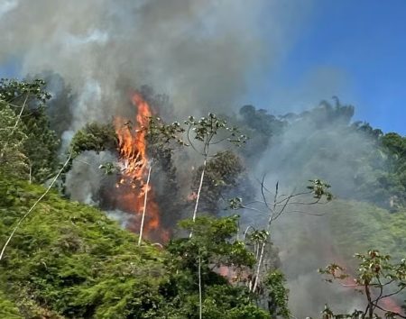 Bombeiros usam seis horas de trabalho e 200 mil litros de água para controlar incêndio em vegetação de SC