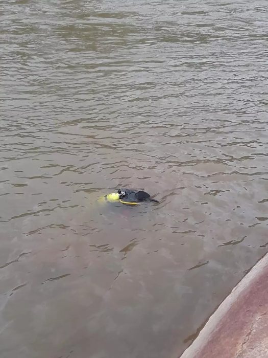 Menina de 4 desaparece após escorregar de pedra e cair em rio de SC