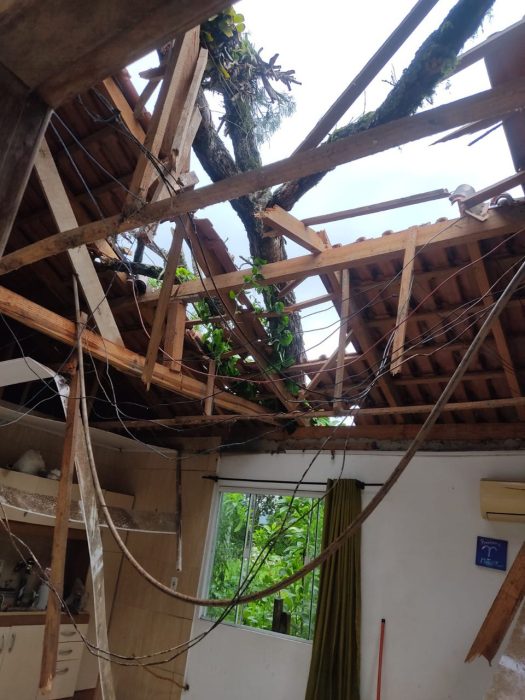 Casa fica destruída após temporal derrubar árvore em Timbó