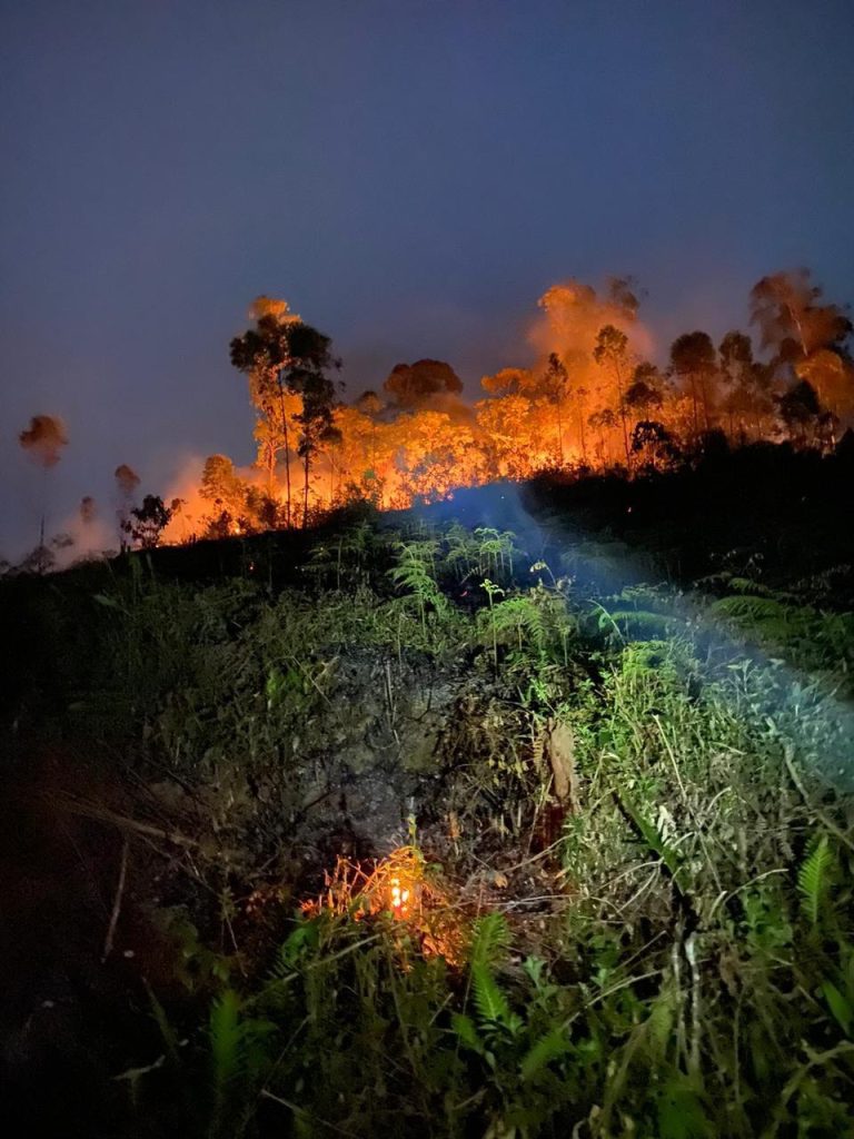 Incêndio afeta cerca de 1000m² de vegetação em Ilhota