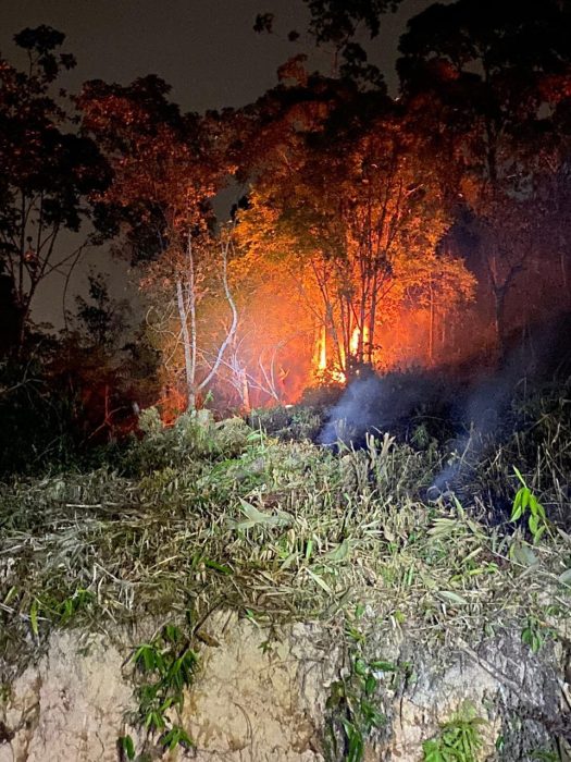 Incêndio afeta cerca de 1000m² de vegetação em Ilhota