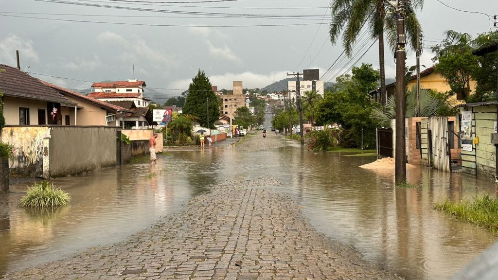 Chuva intensa causa estragos em Timbó: queda de árvores e alagamentos afetam a cidade