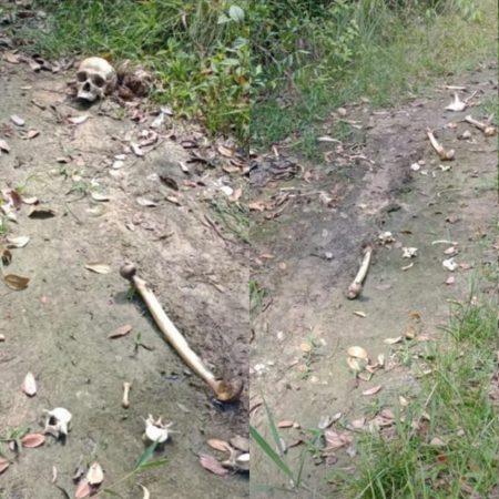 Ossada humana é encontrada em área de mata em Itapema