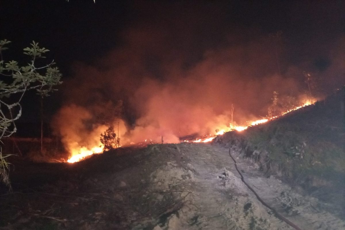 Incêndio em vegetação de Rio dos Cedros atinge 20 mil m² e mobiliza mais de 20 bombeiros