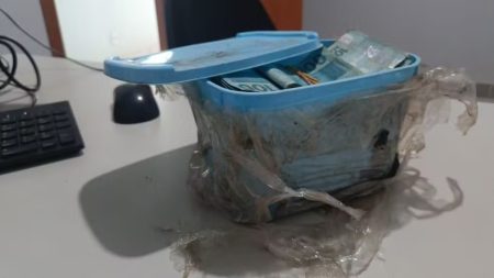 Aposentado encontra R$ 60 mil em pote de sorvete ao limpar jardim de casa recém-comprada no Tocantins