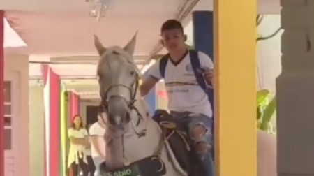 Adolescente viraliza ao levar cavalo como animal de estimação para escola