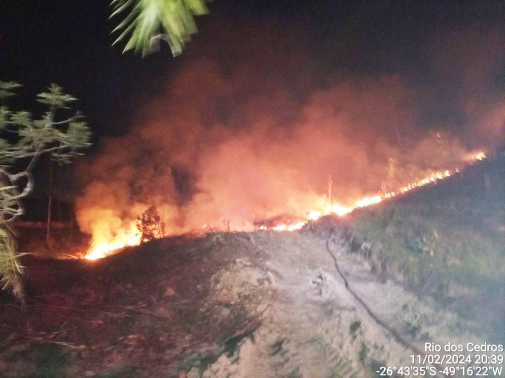 Incêndio em vegetação de Rio dos Cedros atinge 20 mil m² e mobiliza mais de 20 bombeiros