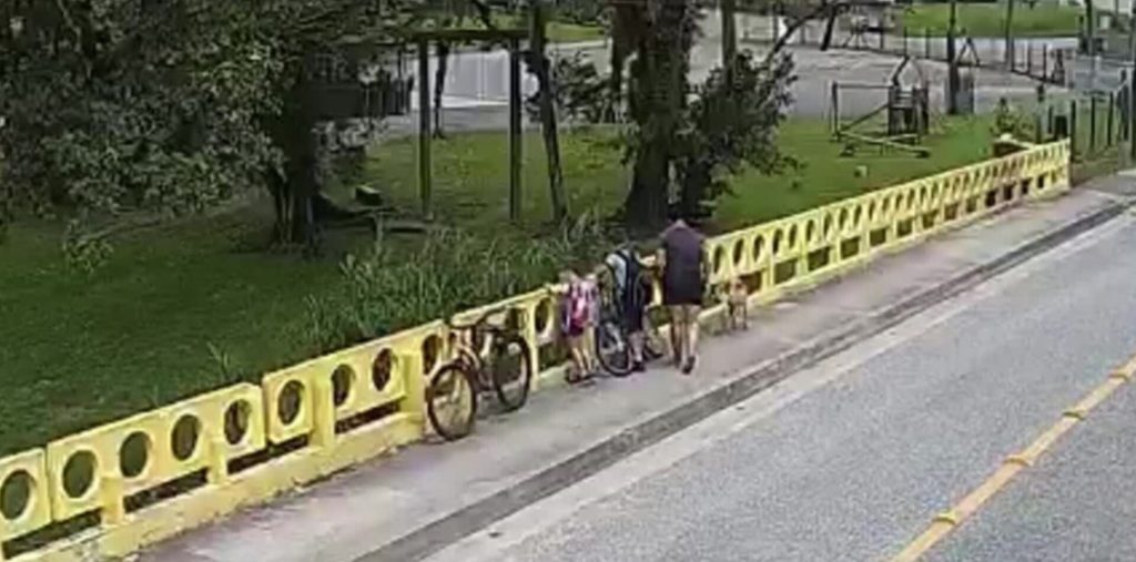 Joinville: mulher é flagrada jogando o próprio cachorro de ponte ao lado dos filhos