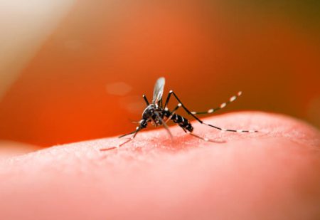Prefeitura de Timbó inaugura Centro de Atendimento para a Dengue