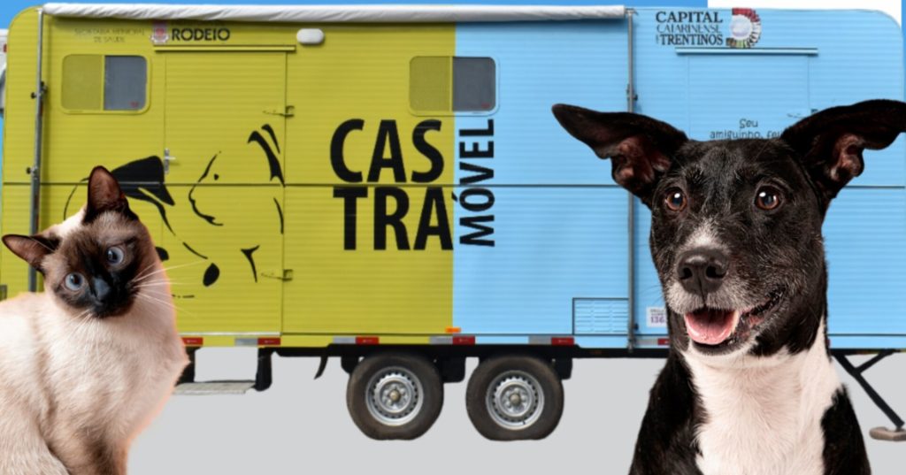 Rodeio inaugura serviço de Castramóvel para cuidados com animais de estimação