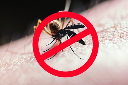 Timbó declara situação de emergência devido à Dengue