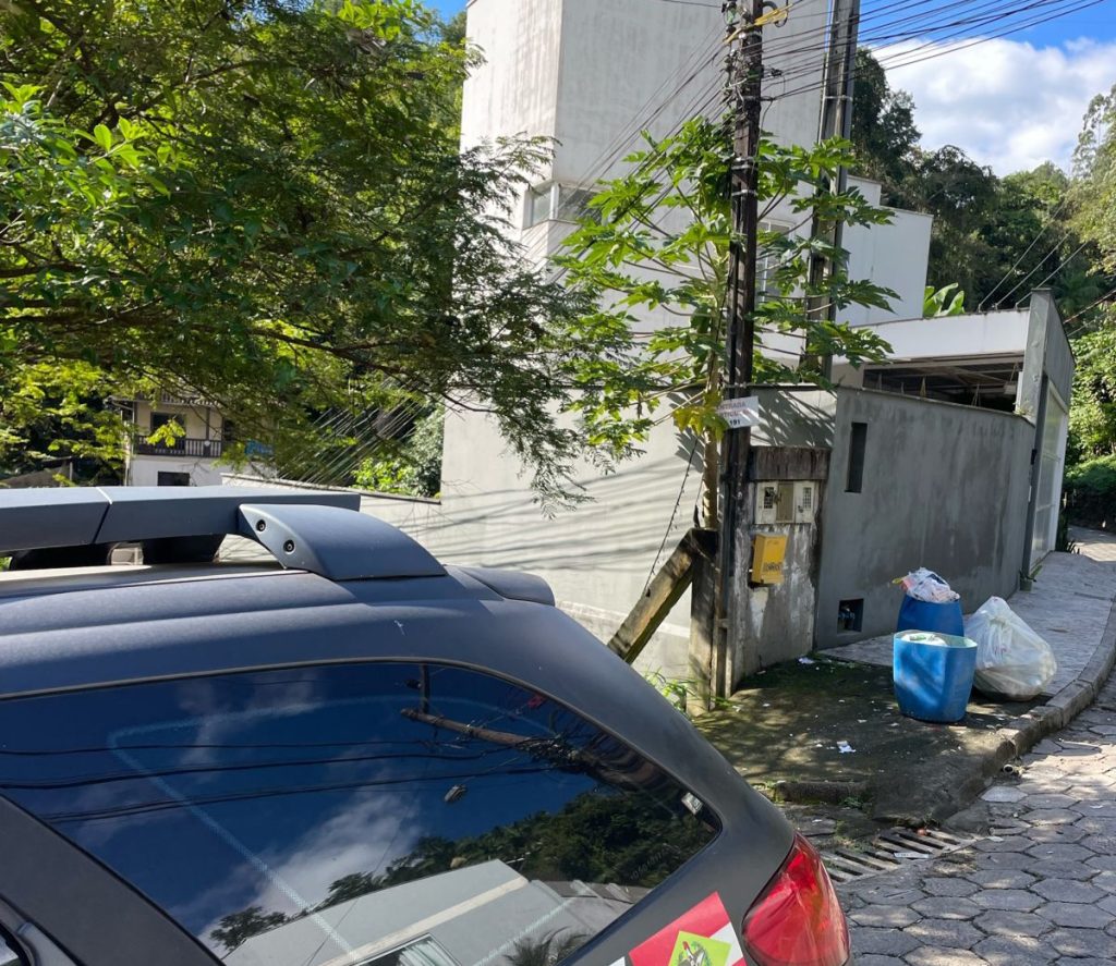 Polícia Civil resgata 4 gatos em situação de abandono na cidade de Blumenau 