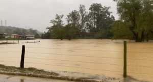 1ª enchente de 2024 alcança Rio do Sul; Itajaí-Açu ultrapassa 7 metros