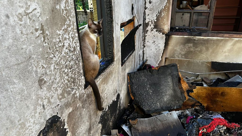 A dor de Cláudio, que viu virar cinzas a casa que construiu e viveu por quase 30 anos em Rodeio